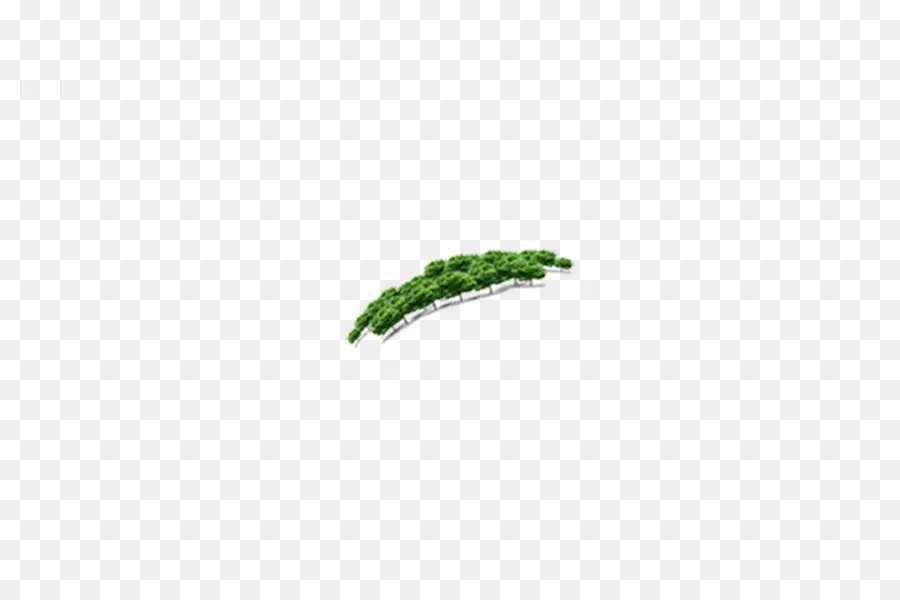 Brócoli Verde，Saludable PNG