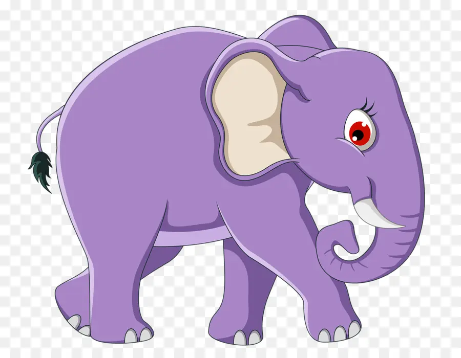 Elefante，Colmillos PNG