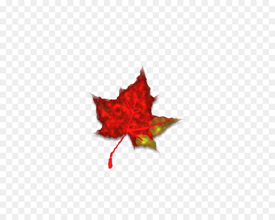 Otoño，Rojo PNG