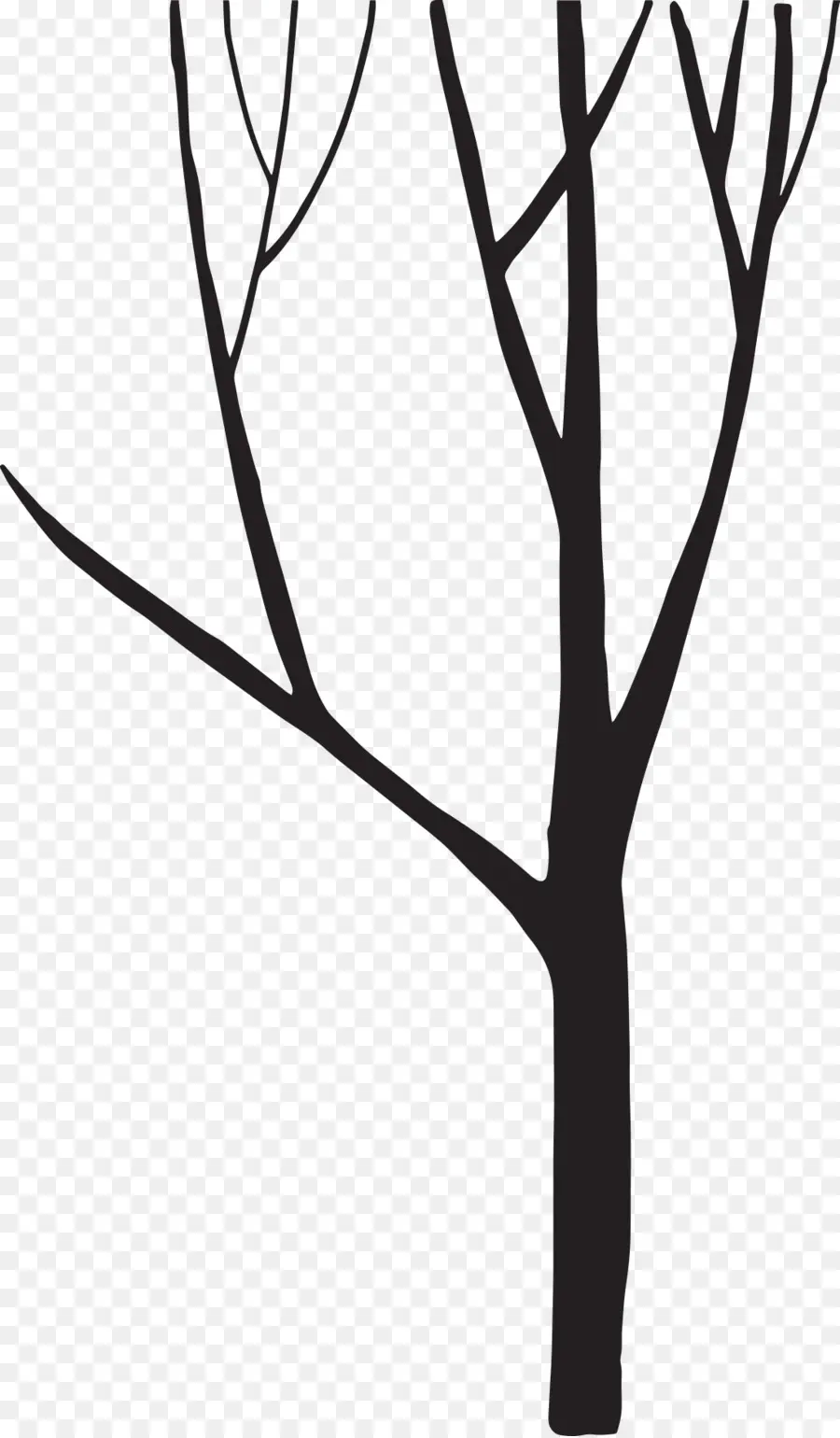 Silueta De Arbol，Silueta PNG