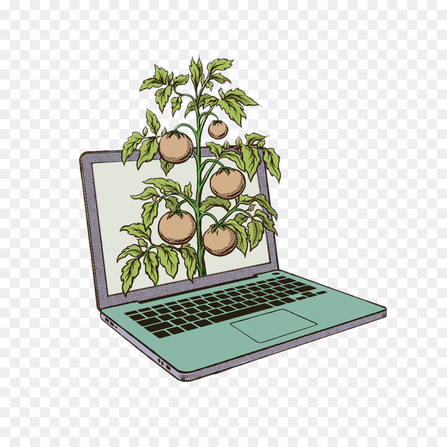 Laptop Con Planta，Pantalla PNG