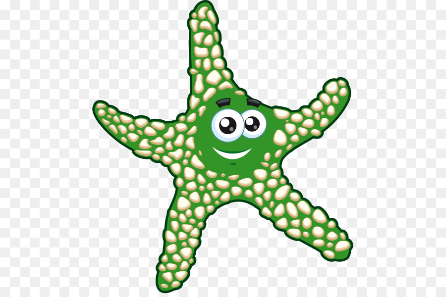 Estrella De Mar，Dibujo PNG