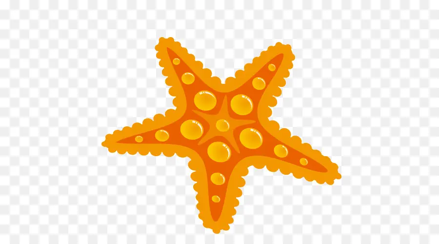 Estrella De Mar，Dibujo PNG