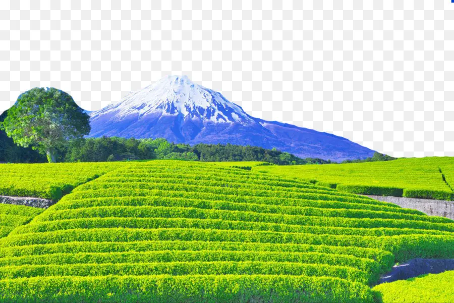 El Monte Fuji，Fuji PNG