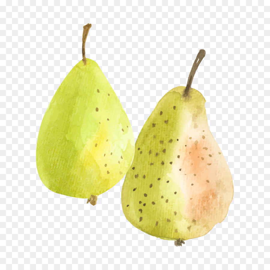 Pyrus Nivalis，Pyrus Xd7 Bretschneideri PNG