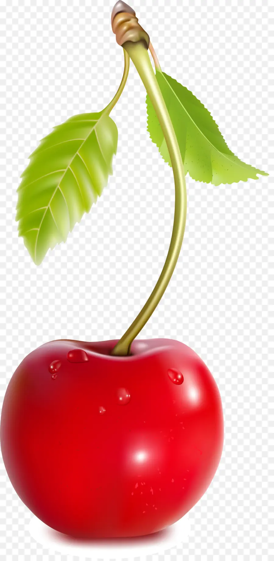 Cherry，Cocacola Cherry PNG