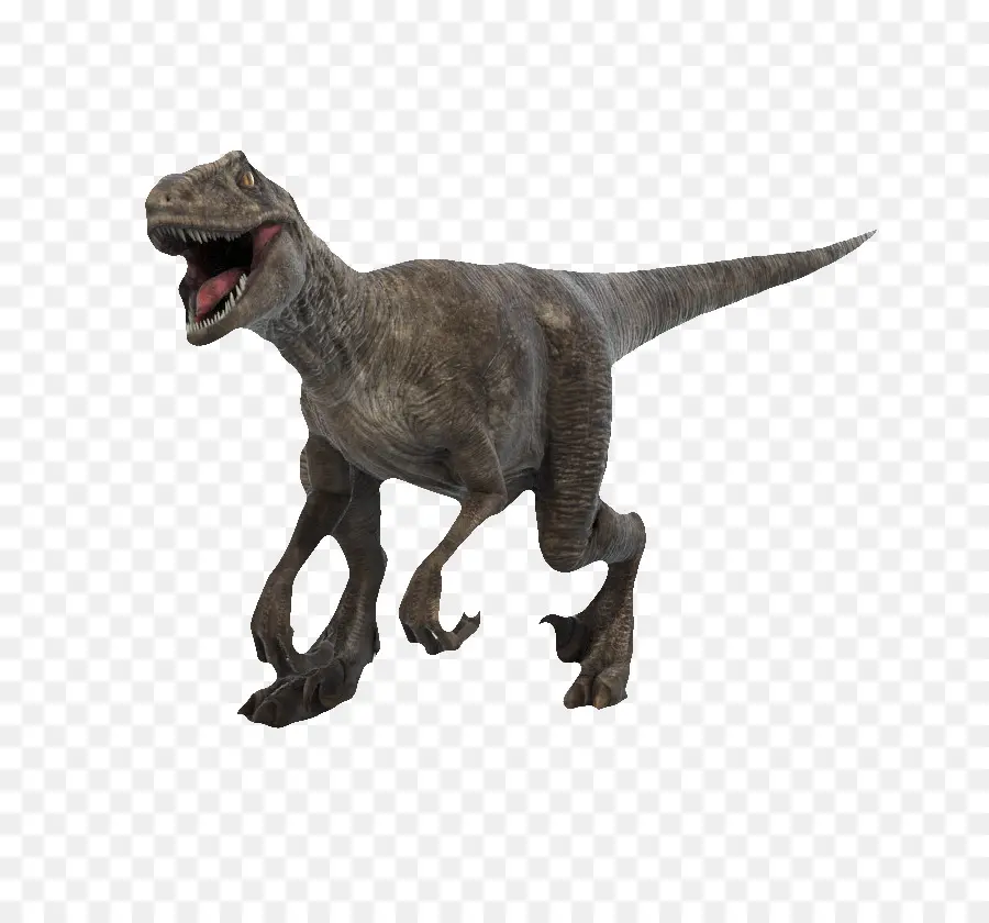 Velociraptor，Brachiosaurus PNG