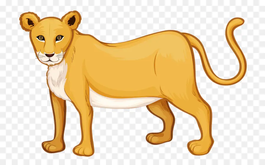 León，Dibujo PNG