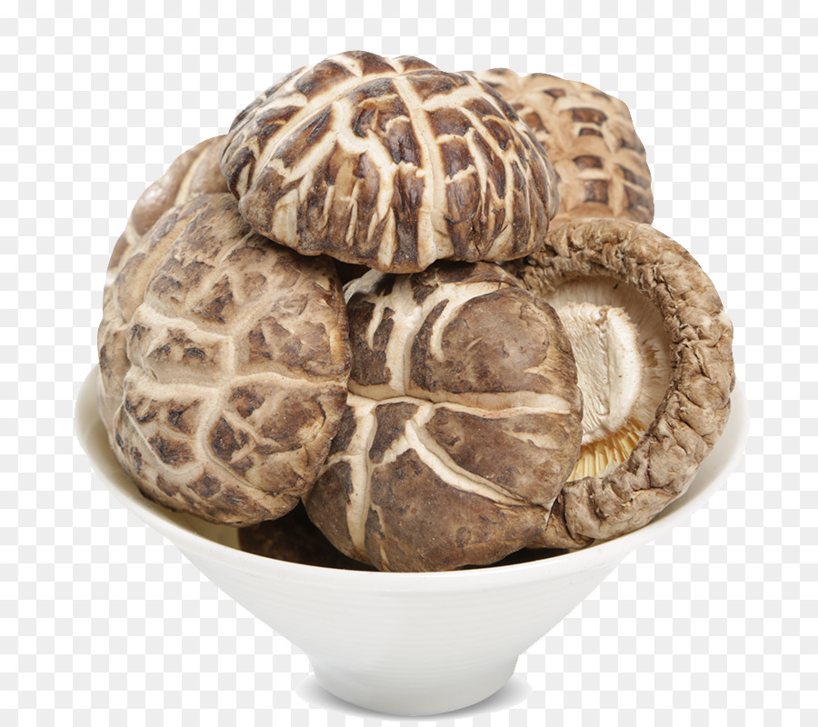 Hongos，Bol PNG