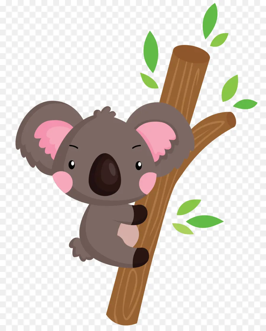 Koala，La Fotografía PNG