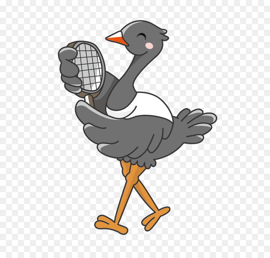 Pato Con Raqueta，Tenis PNG