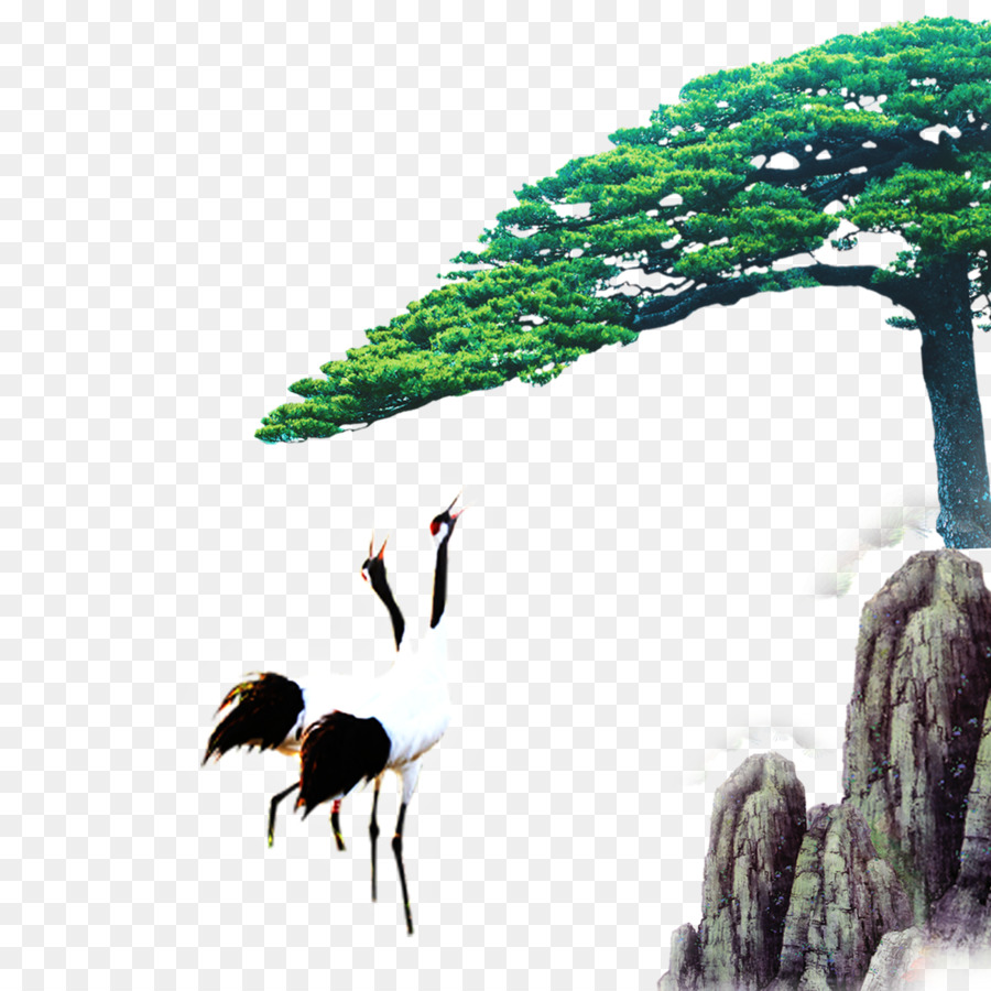 Grúa Y árbol，Pájaro PNG