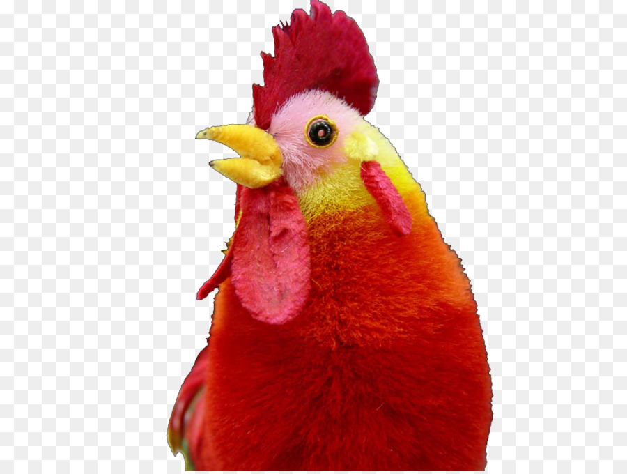 Gallo，Juguete PNG