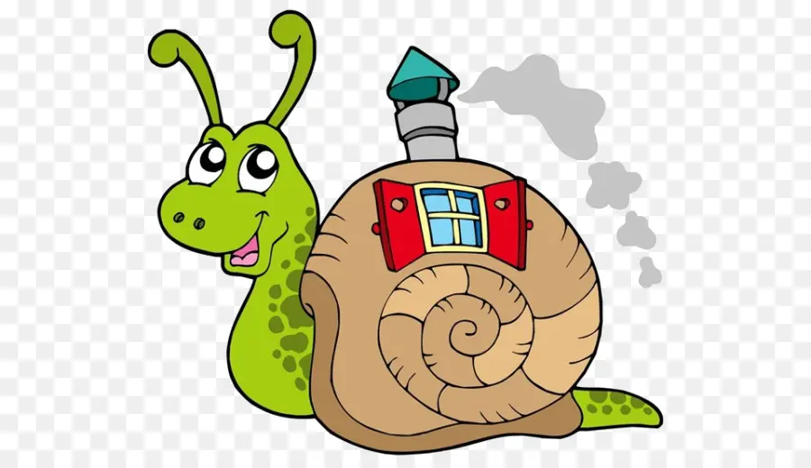 Caracol，Una Fotografía De Stock PNG