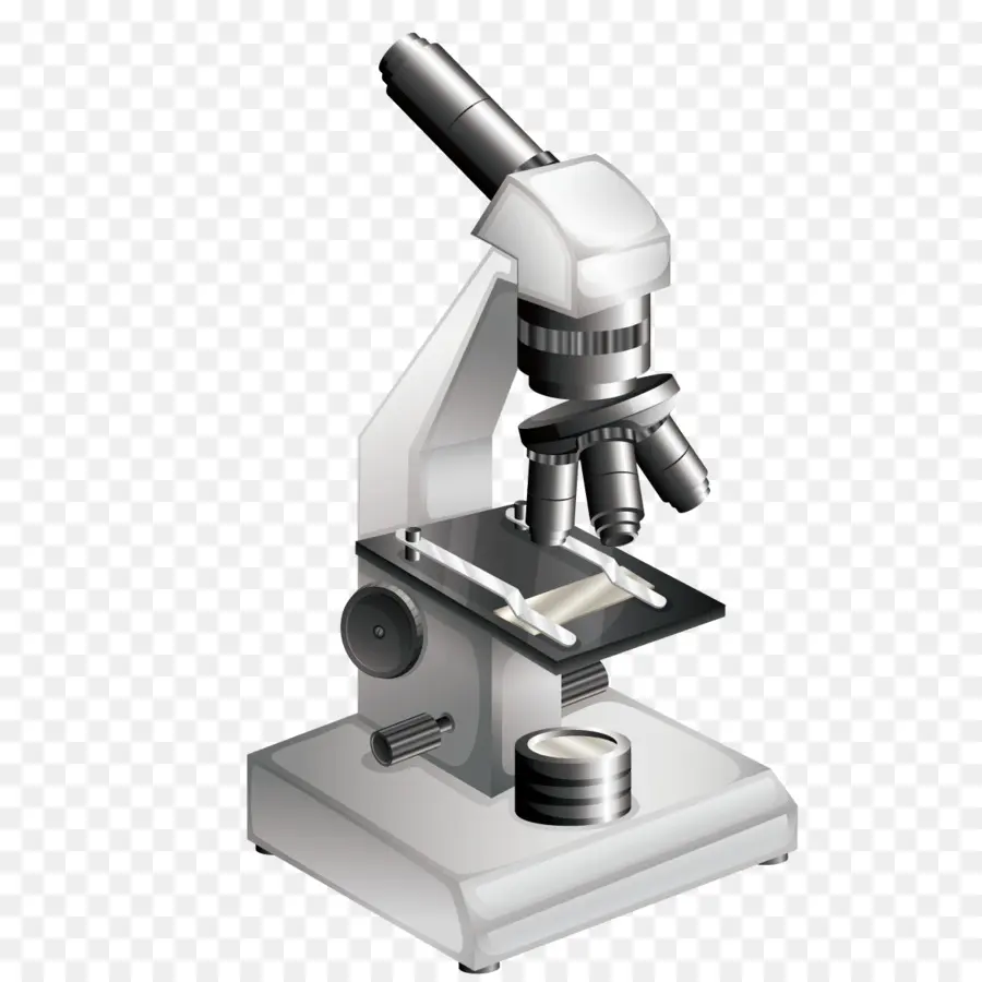 Microscopio，Las Bacterias PNG