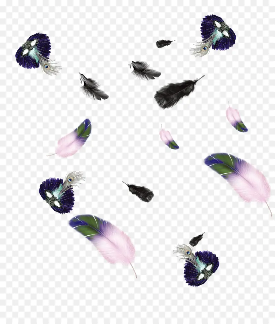 Pluma，Euclídea Del Vector PNG