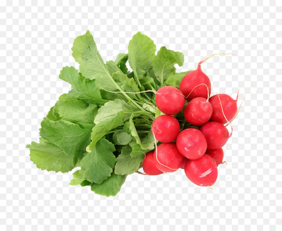 Daikon，Raw Foodism PNG