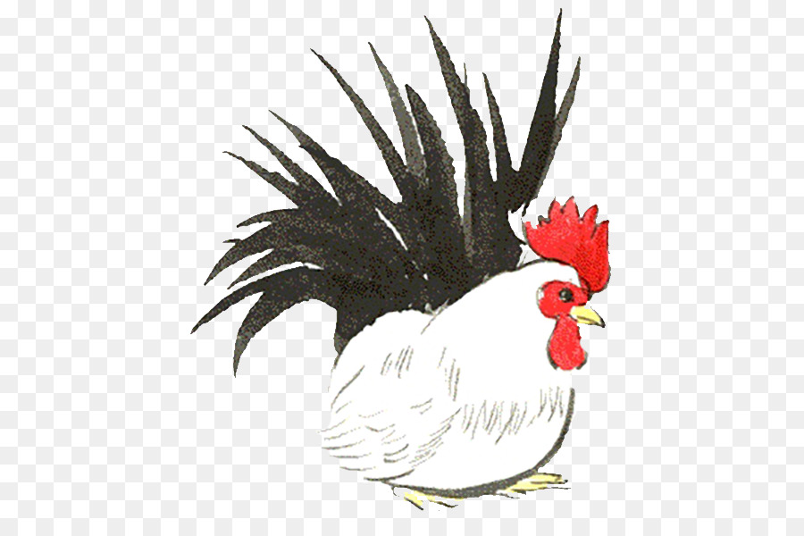 Gallo，Pollo PNG