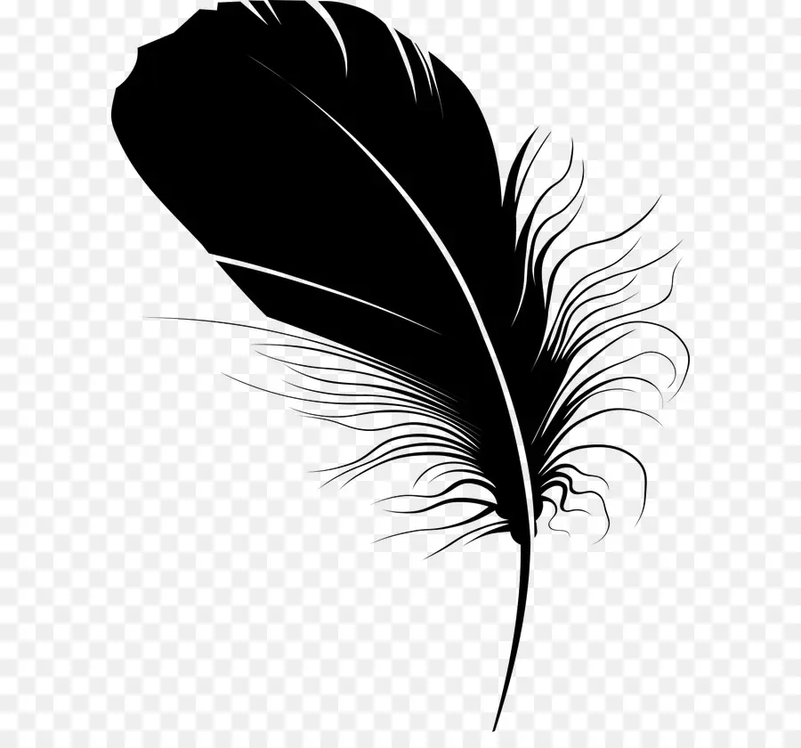 Pluma，Lápiz PNG