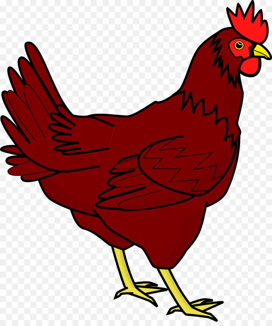 Pollo，La Carne De Pollo PNG