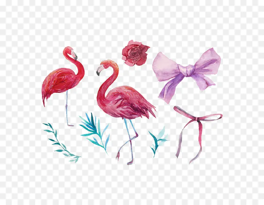 Flamencos，Rosa PNG