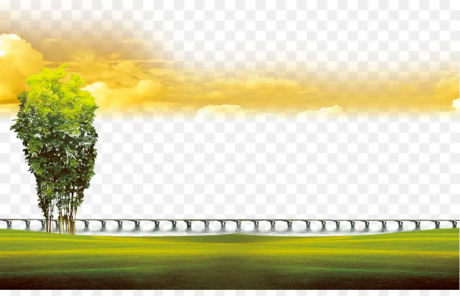 Paisaje，árbol PNG