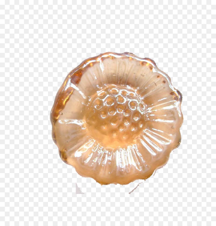 Semilla De Loto，Nelumbo Nucifera PNG