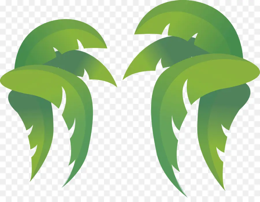 Hoja，Coco PNG