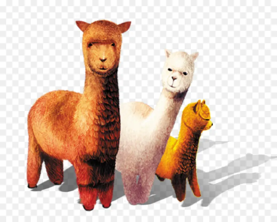 Llamas，Grupo PNG