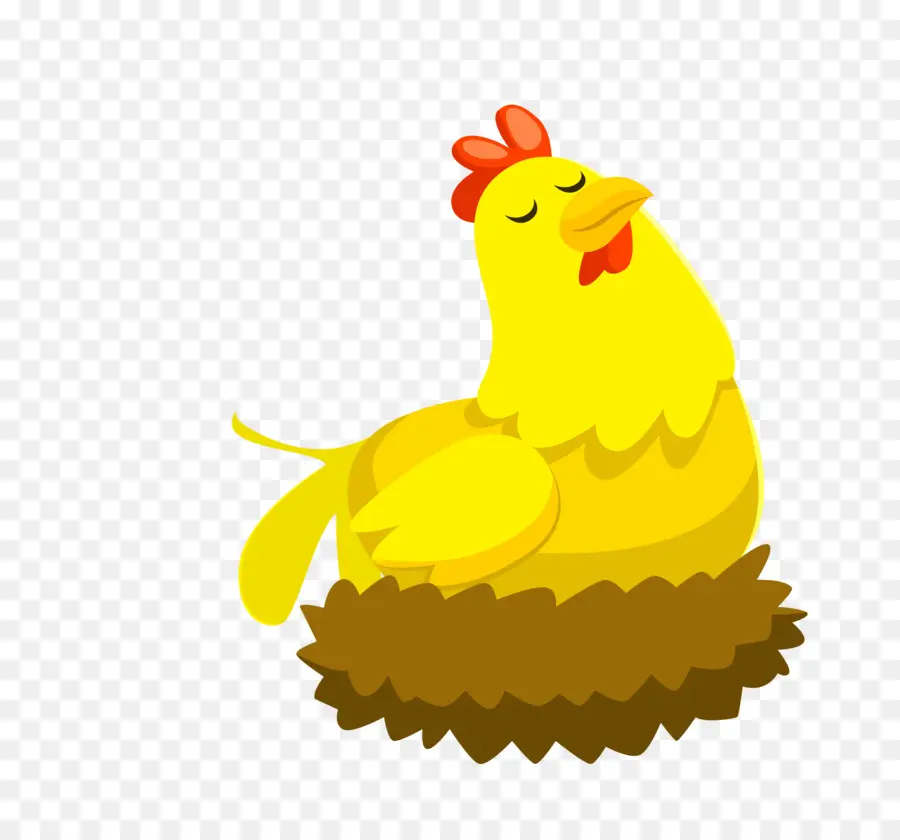 Pollo，Pato PNG