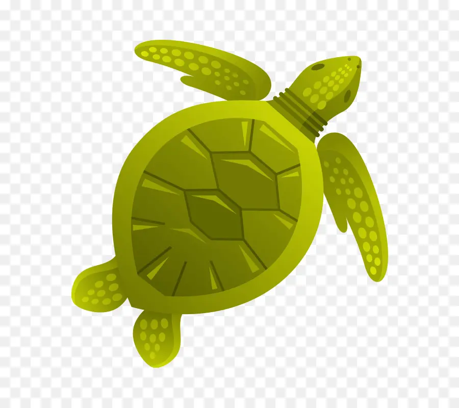 Tortuga，De Los Animales Acuáticos PNG