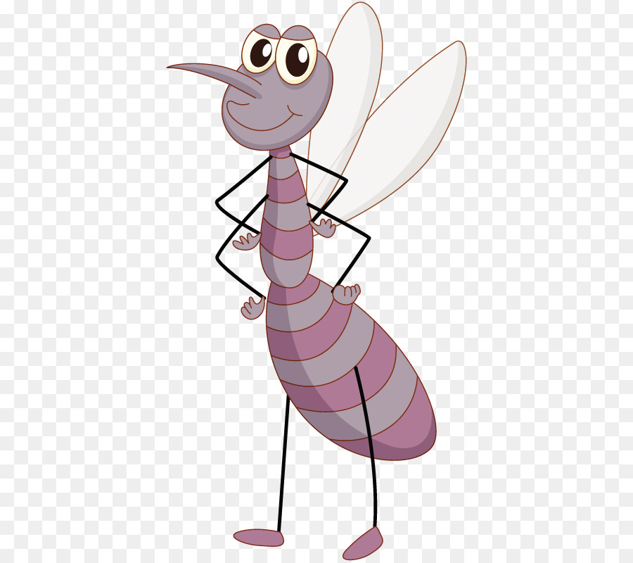 Mosquito Morado，Insecto PNG