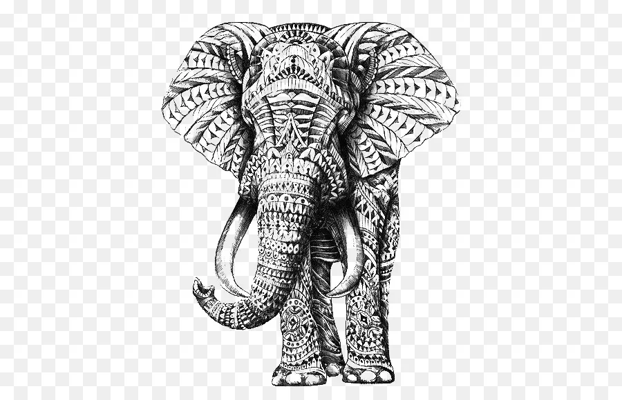 Camiseta，Elefante PNG