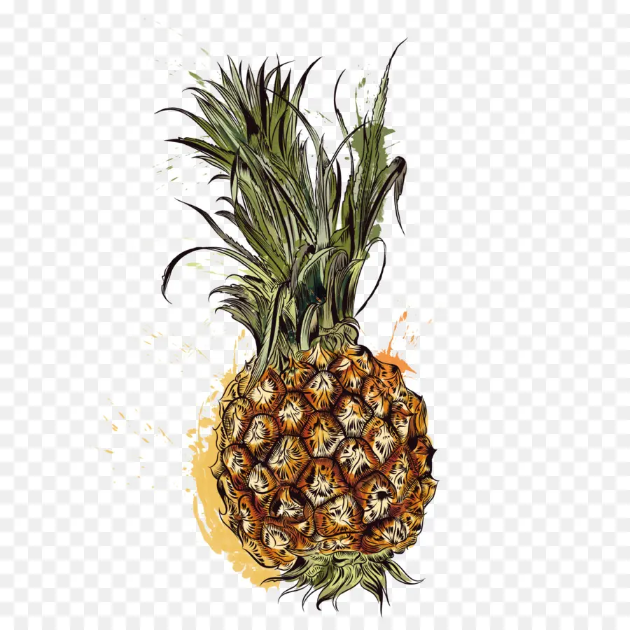 Piña，Tropical PNG