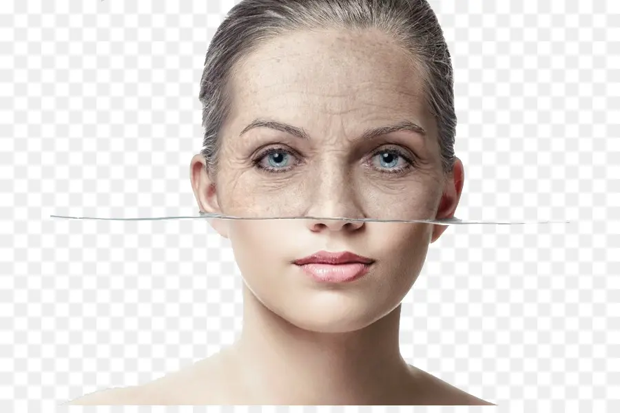 Crema，Antiaging Crema PNG