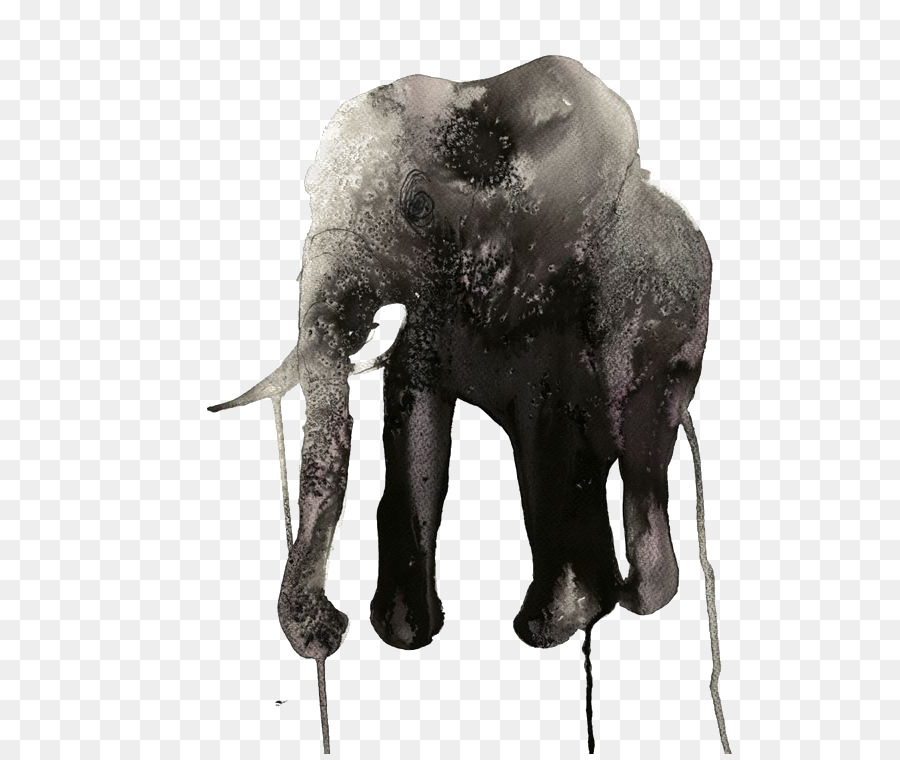 Elefante，Acuarela PNG