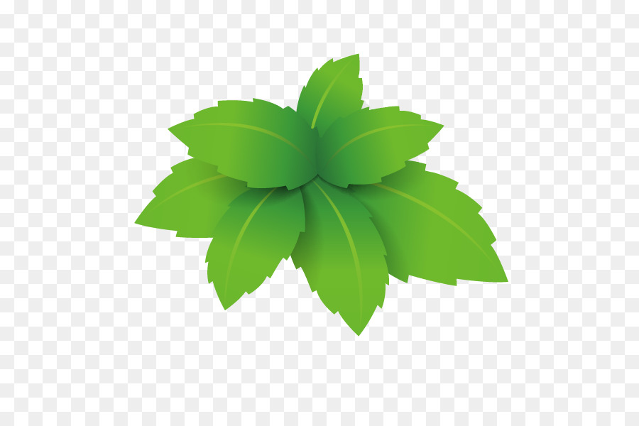 Verde，Microchloa PNG