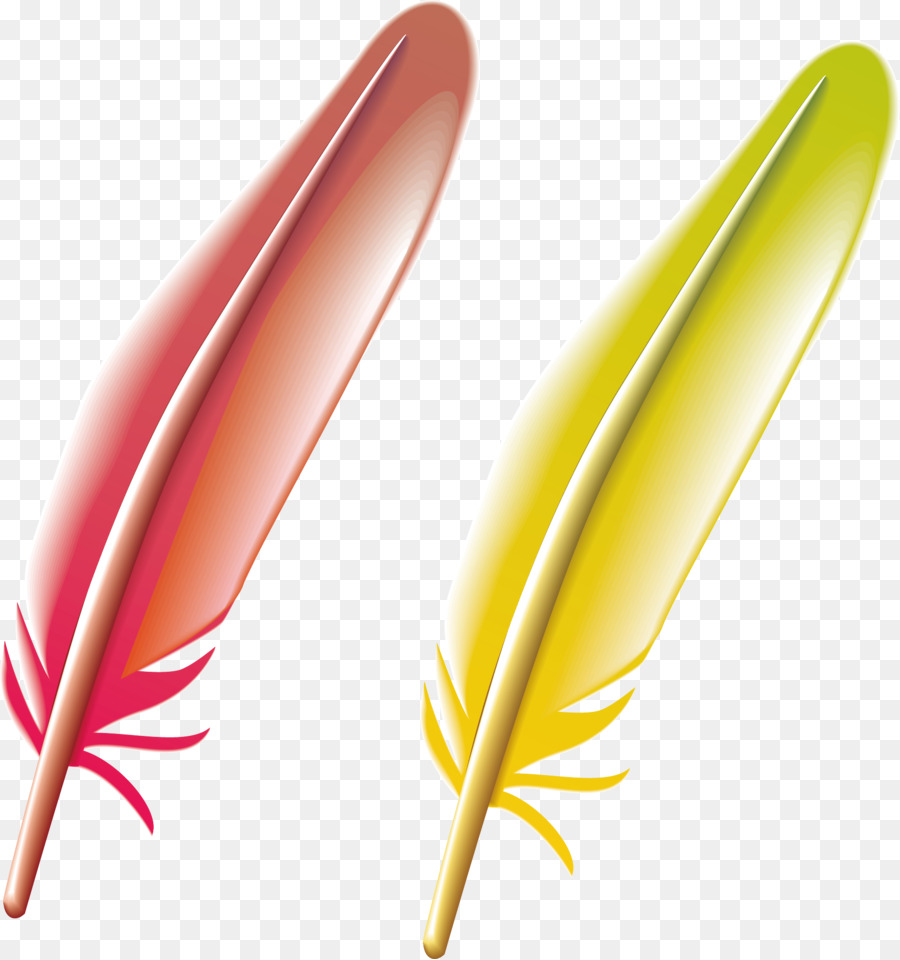 Pluma，Euclídea Del Vector PNG