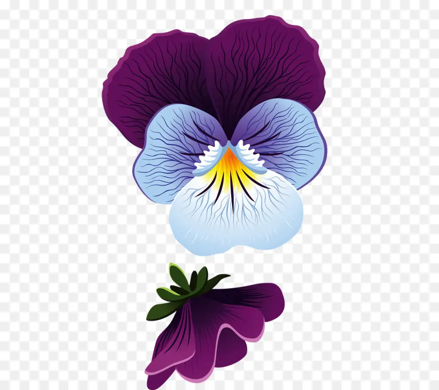 Flor，Pansy PNG