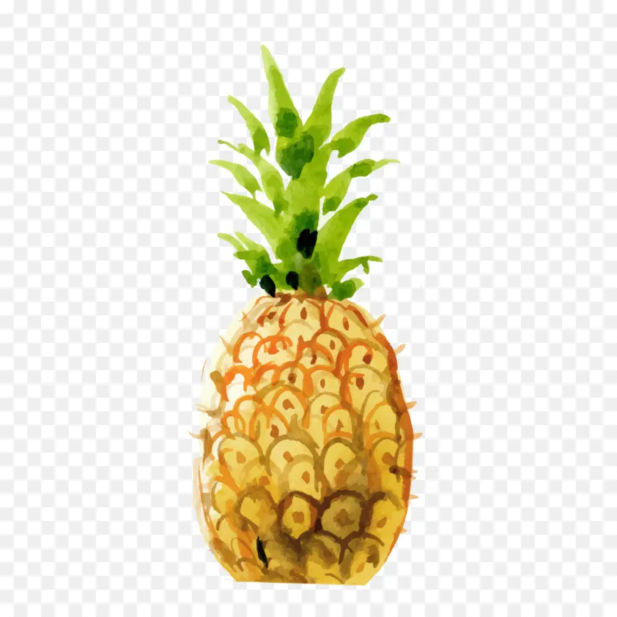 Piña，Tropical PNG