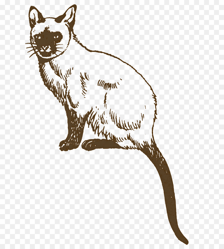 Gato，Mascota PNG