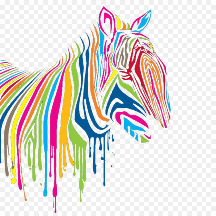 Camiseta，Zebra PNG