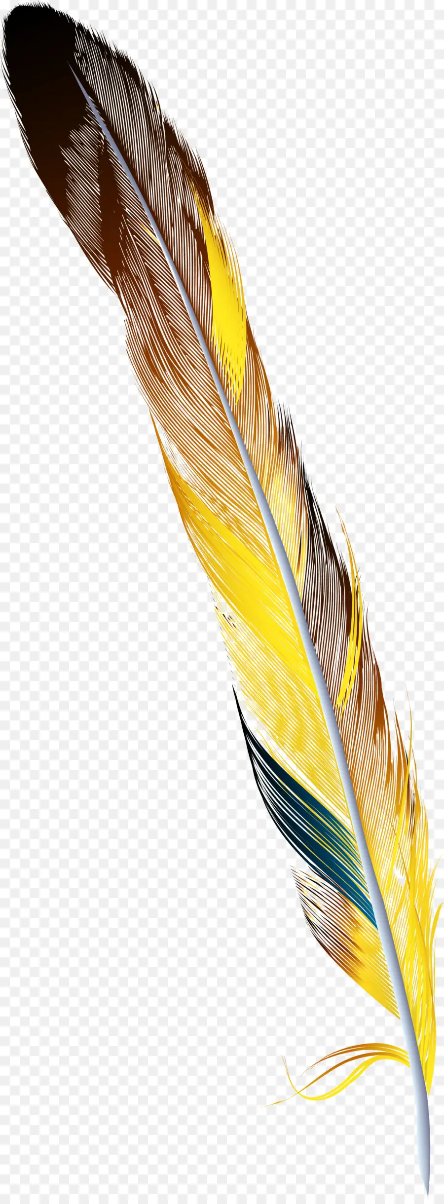 Pluma，Dibujo PNG