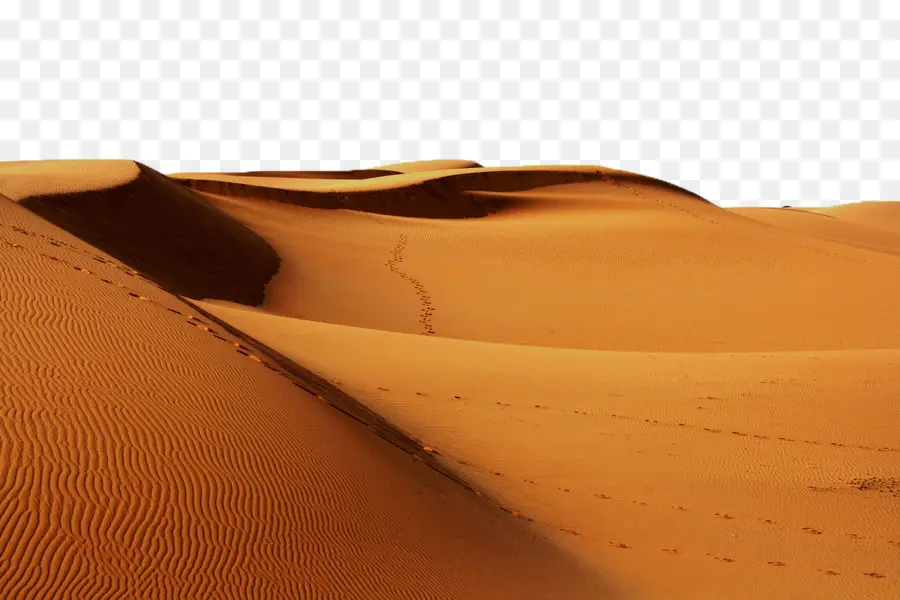 Sahara，Erg PNG