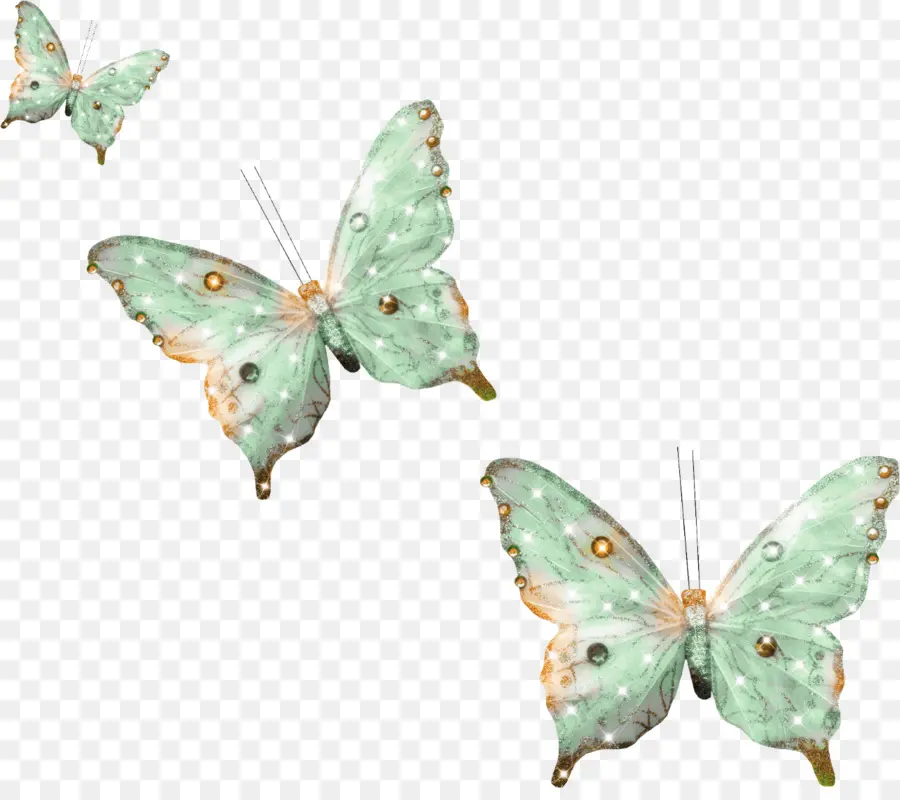 Mariposas，Alas PNG