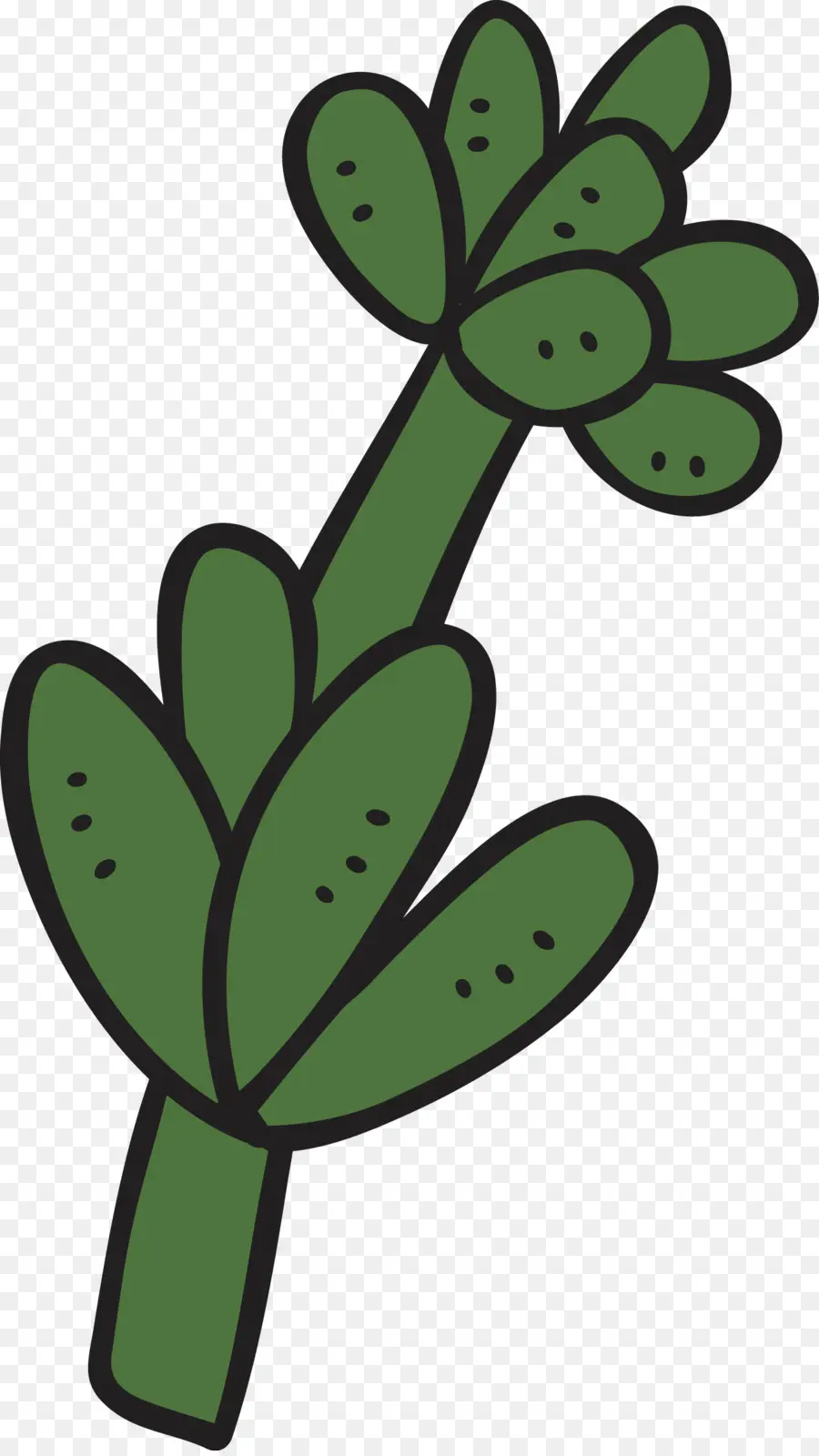 Cactus，Verde PNG