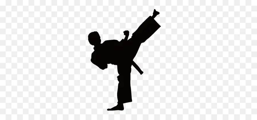 Karate，La Calcomanía De Pared PNG