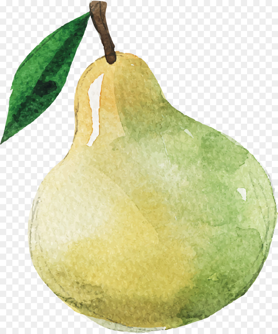 Pyrus Nivalis，El Melón Amargo PNG