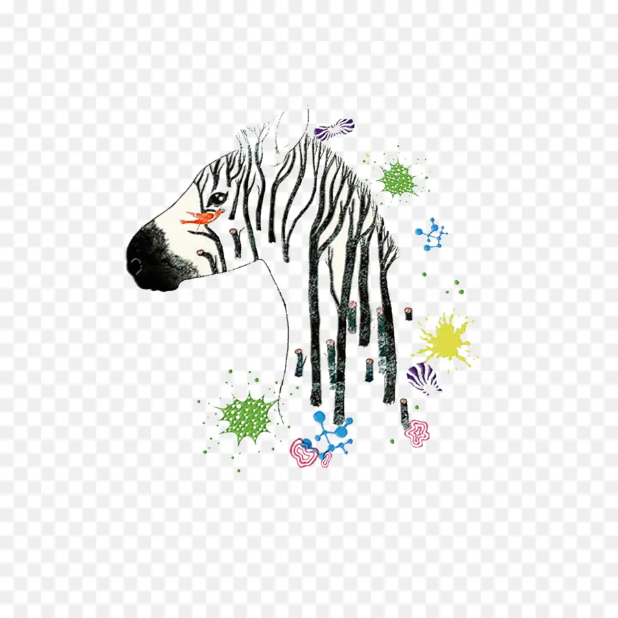 Dibujo，Zebra PNG