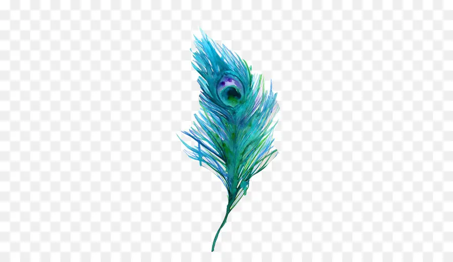 Pluma De Pavo Real，Vistoso PNG